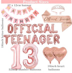 13th Birthday Party Decorations OFFICIAL TEENAGER Party Balloons 13th Birthday Tiara Official Teenager Sash Happy Birthday Banner