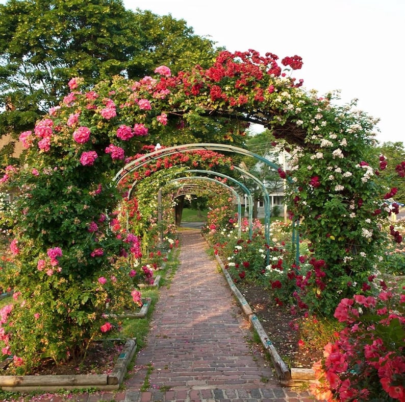 Metal Garden Arch, Wedding & Event Decoration, Garden Trellis for Climbing Plants, Assemble Freely 2 Sizes for Various Climbing Plant Roses