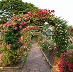 Metal Garden Arch, Wedding & Event Decoration, Garden Trellis for Climbing Plants, Assemble Freely 2 Sizes for Various Climbing Plant Roses