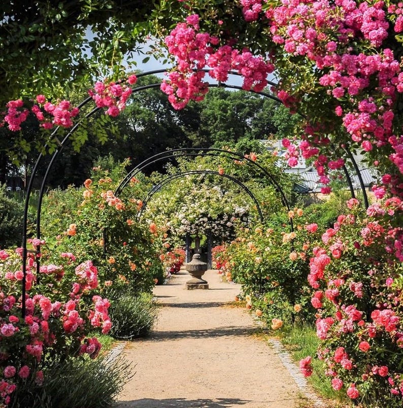 Metal Garden Arch, Wedding & Event Decoration, Garden Trellis for Climbing Plants, Assemble Freely 2 Sizes for Climbing Plant Bridal Party