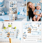 232 Pcs Beary First Birthday Decorations, Teddy Bear One Year Old Birthday Balloon Garland, Banners, Baby First Teddy Bear Backdrop, Plates