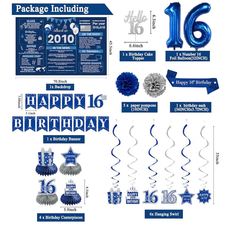 Blue 16th Birthday Decorations for Boys Girls - Back in 2010 Backdrop, Banner, Swirls, Centerpieces, Sash, Paper Pom Poms, Balloons for 16th