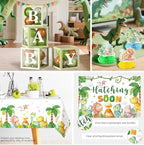 280PCS Dinosaur Baby Shower Decorations, 25 Dinosaur Theme Tableware, Includes It's A Boy Plates and Napkins, Backdrop, Balloon Kit